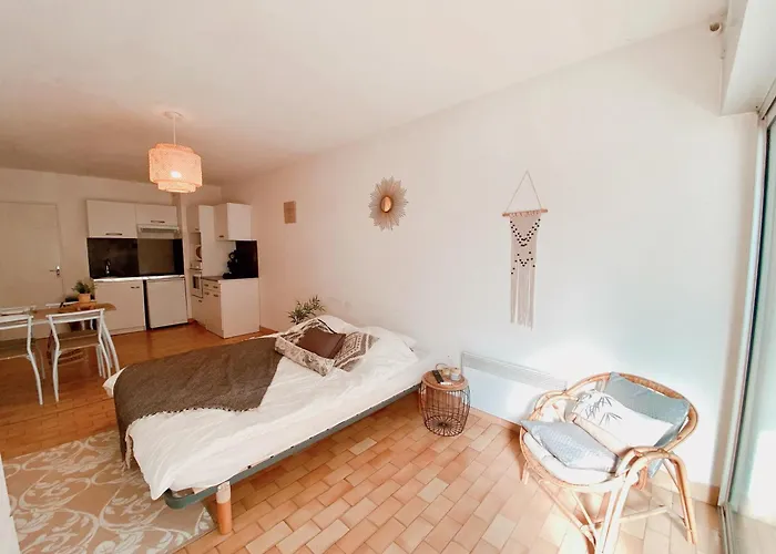 Daire A 100m De La Avec Balcon - 66 Canet-en-Roussillon